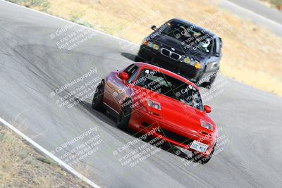 media/Sep-02-2023-Extreme Speed (Sat) [[ebd0e2b1ad]]/2-Green/turn 8/